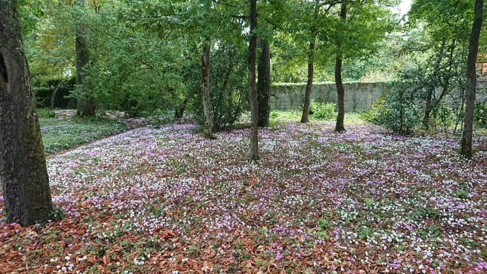 Le Buisson Hotell Montlouis-sur-Loire Eksteriør bilde